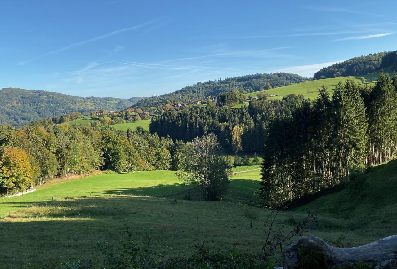 Apartment Ferien-apartment Im Genusshotel Hirschen Kleines Wiesental